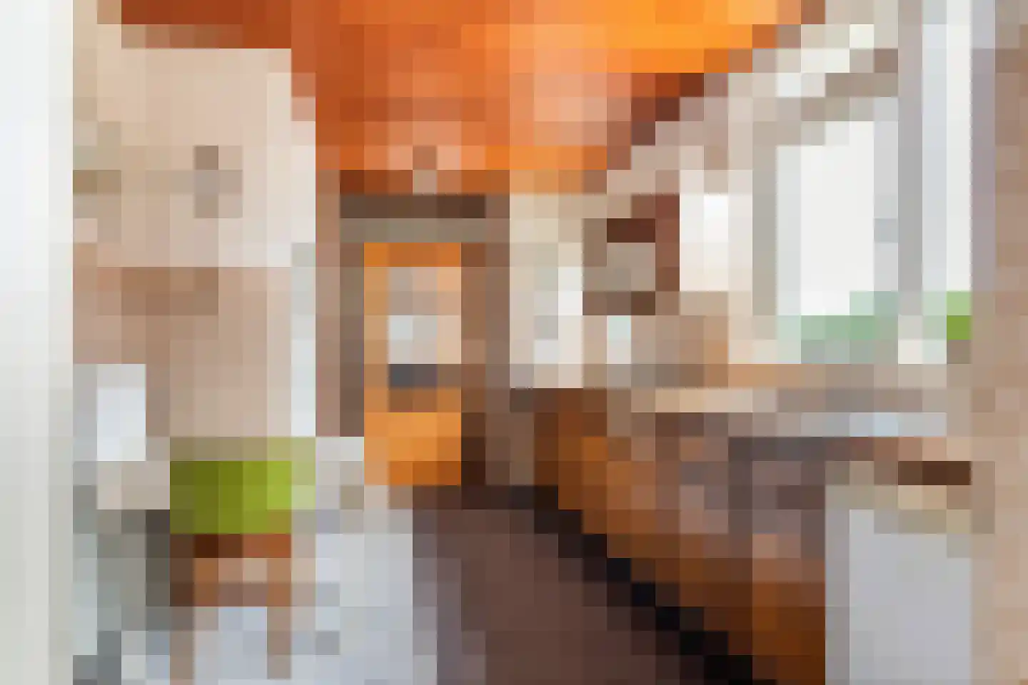 Jeudestraat 18 Zoelen thumbnail 14