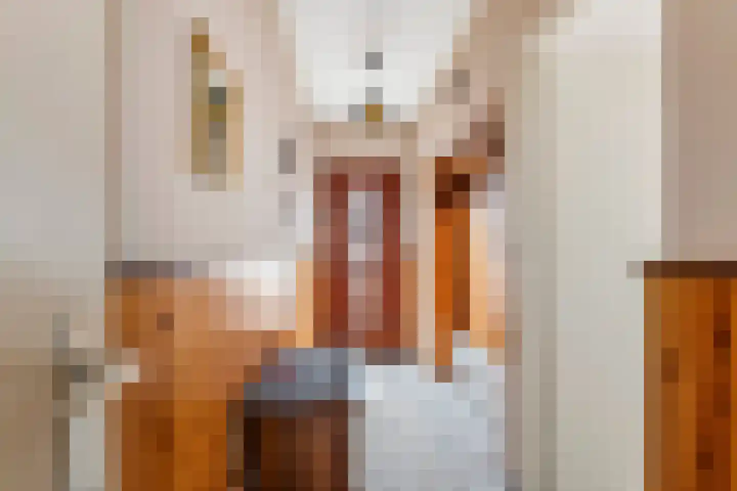 Jeudestraat 18 Zoelen thumbnail 16