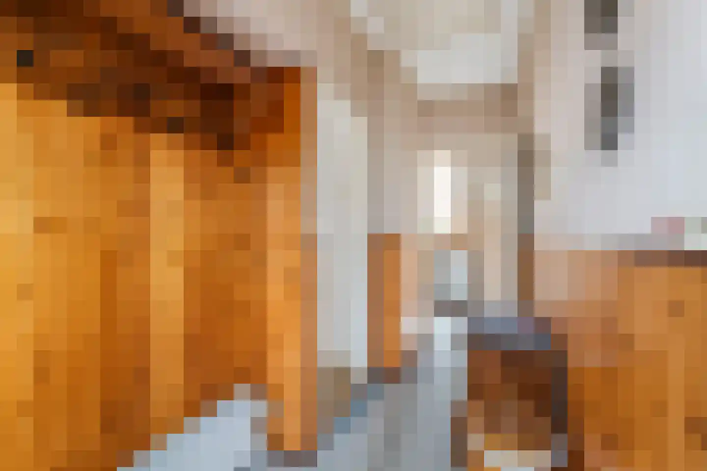 Jeudestraat 18 Zoelen thumbnail 17