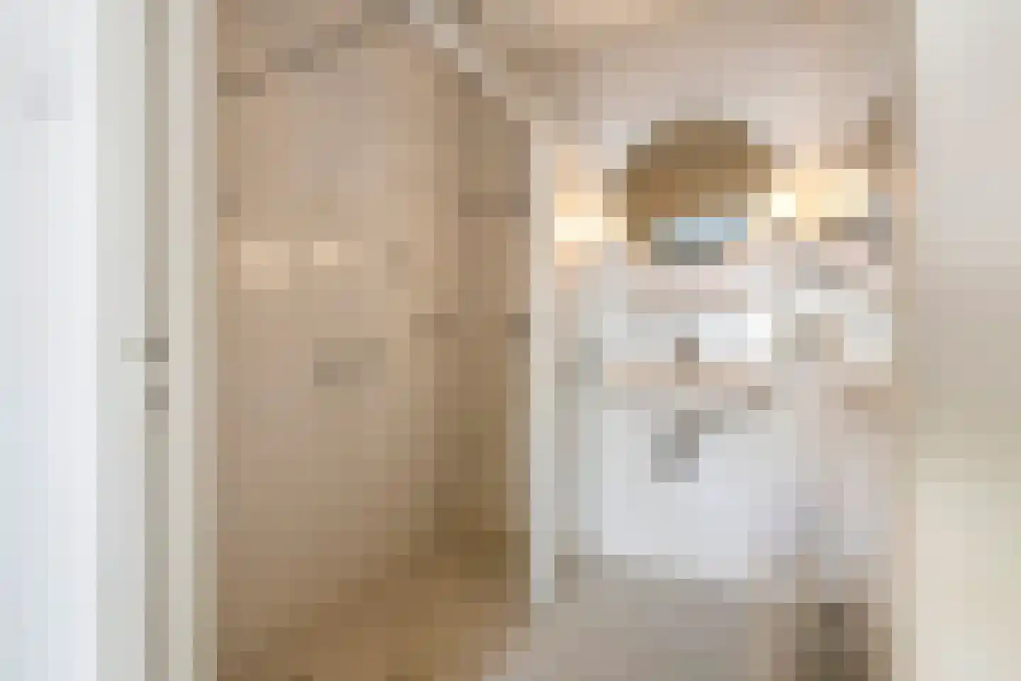 Jeudestraat 18 Zoelen thumbnail 22