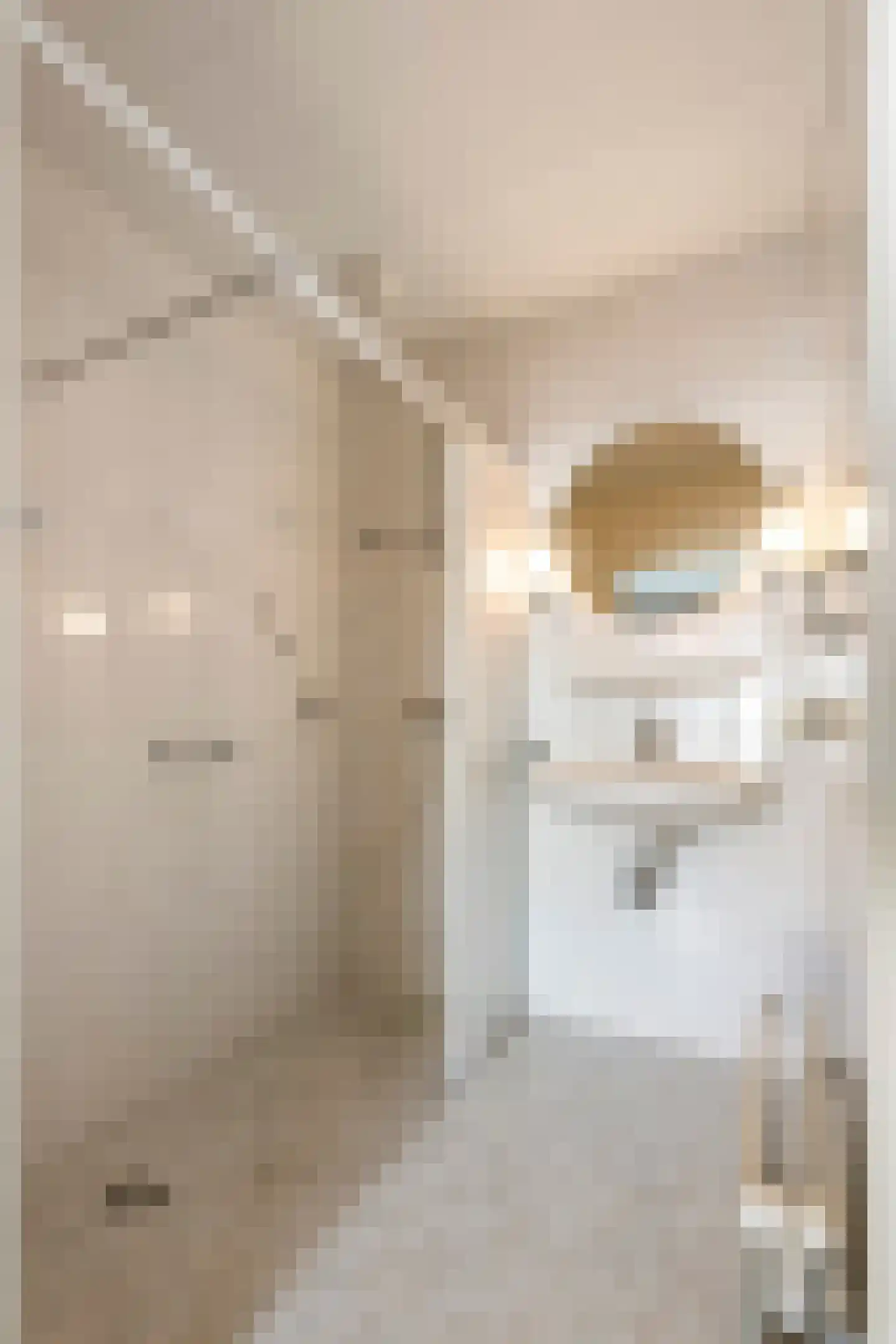 Jeudestraat 18 Zoelen thumbnail 23