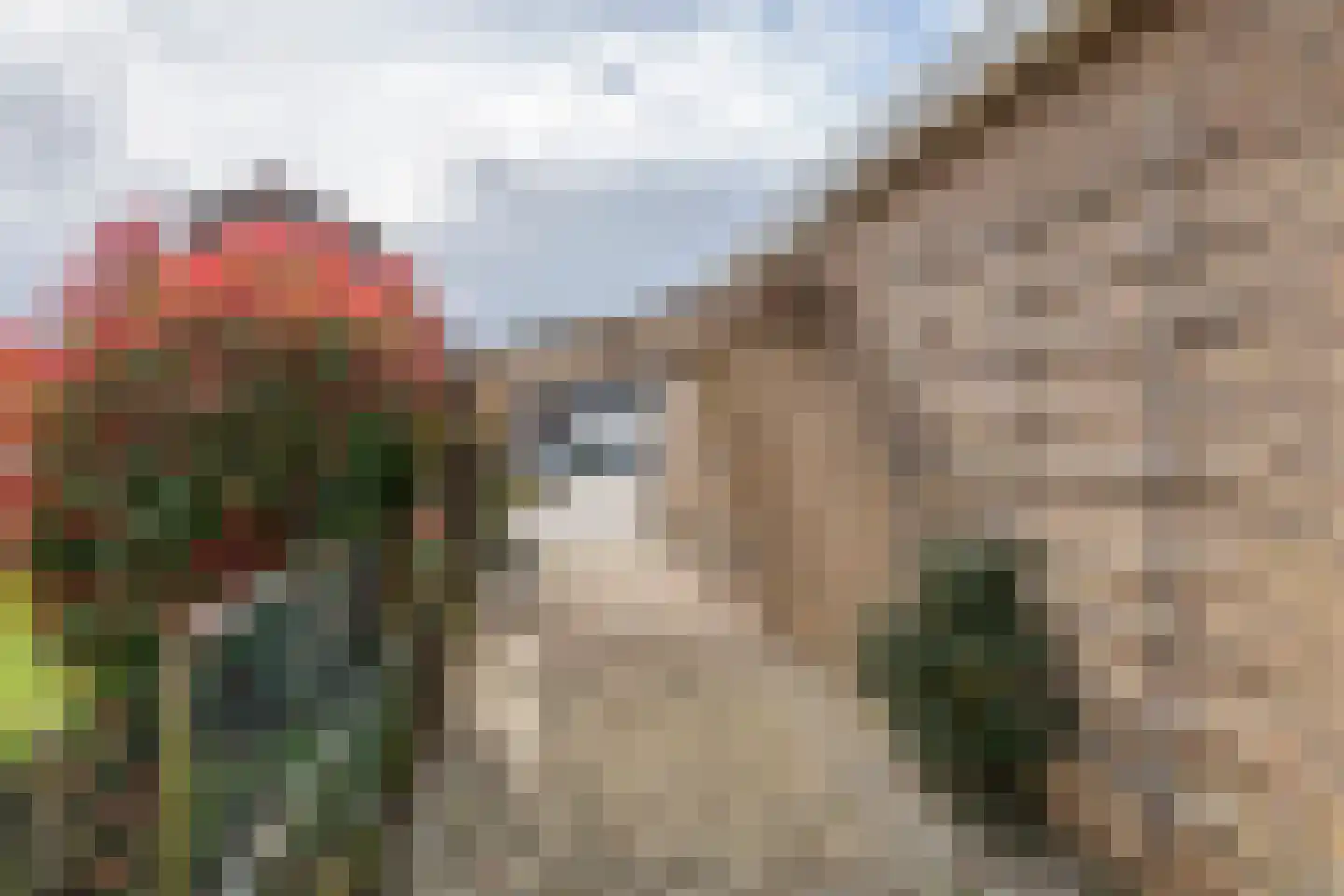 Jeudestraat 18 Zoelen thumbnail 30