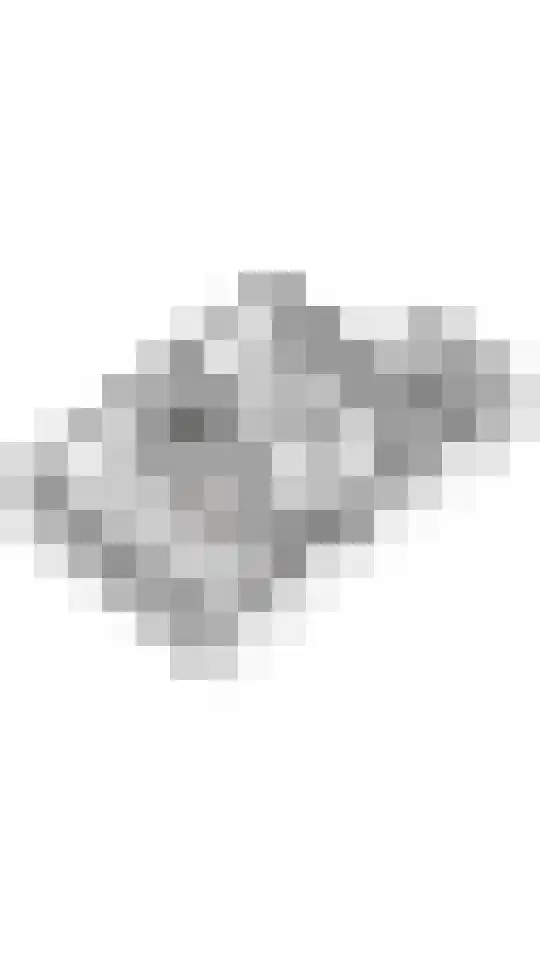 Jeudestraat 18 Zoelen thumbnail 51
