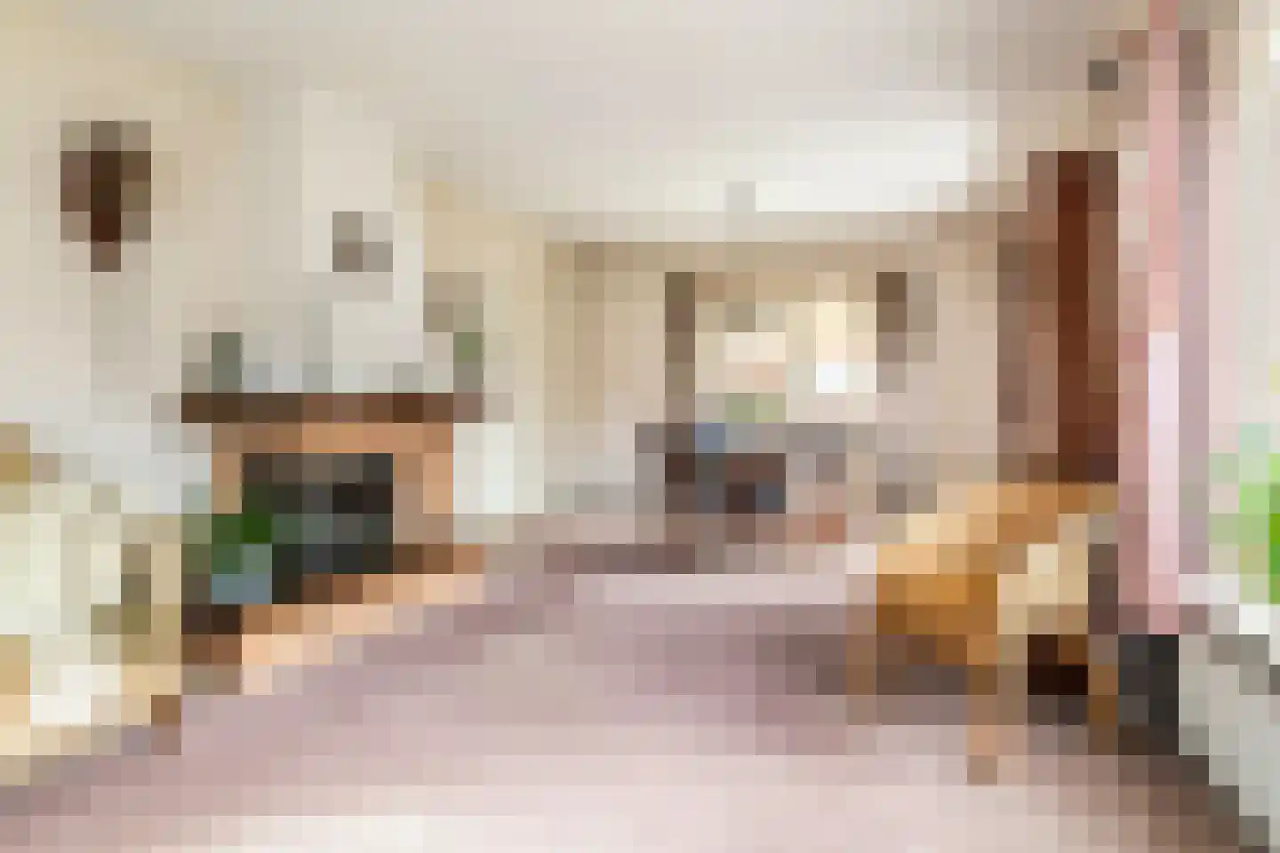 Jeudestraat 18 Zoelen thumbnail 9