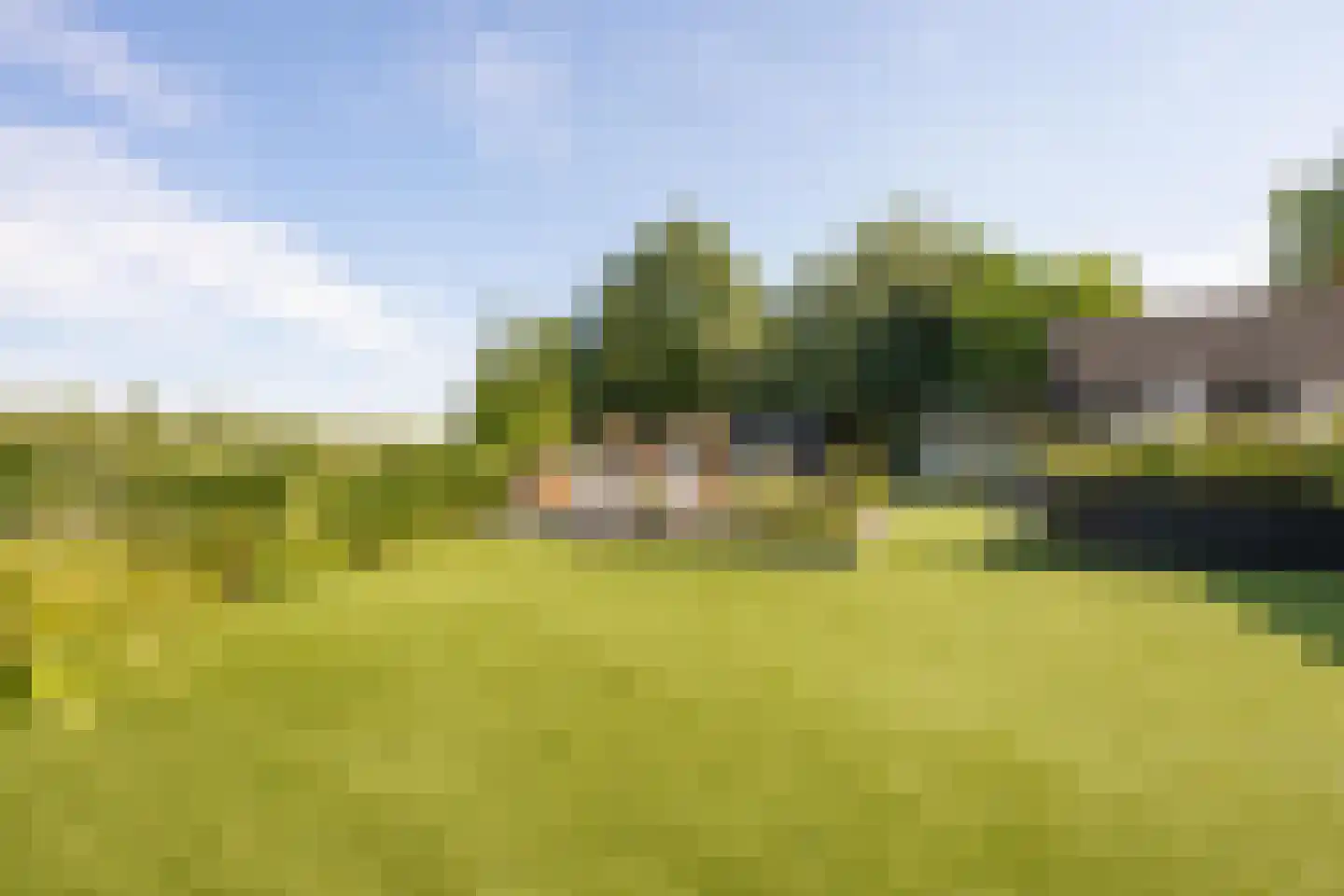 Jeudestraat 42 Zoelen thumbnail 19