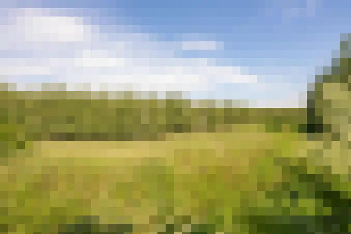 Jeudestraat 42 Zoelen thumbnail 21