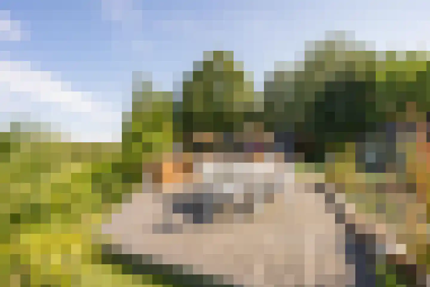 Jeudestraat 42 Zoelen thumbnail 22