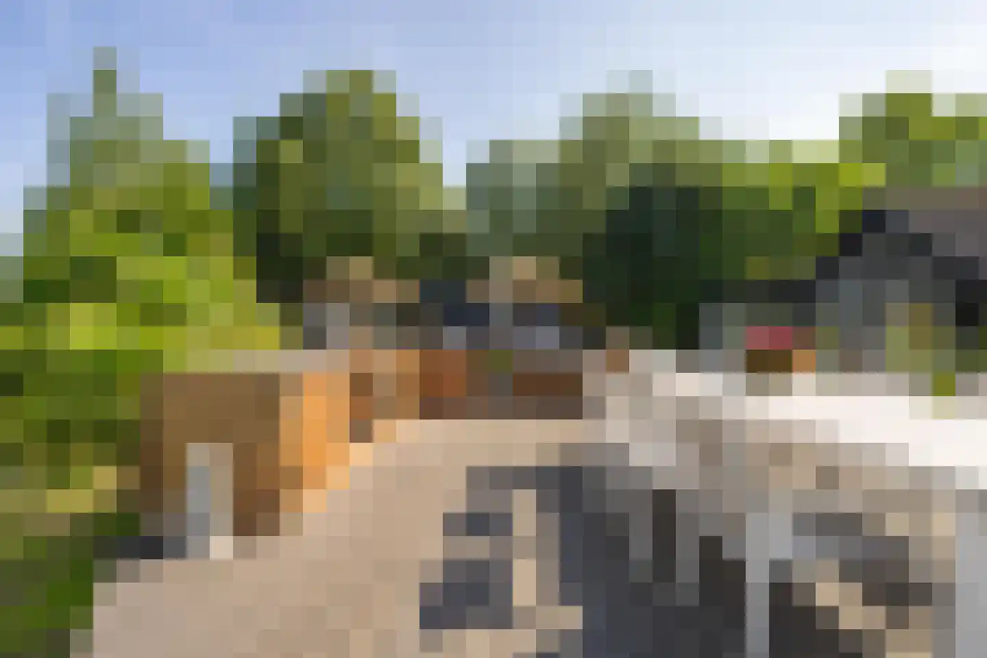 Jeudestraat 42 Zoelen thumbnail 26