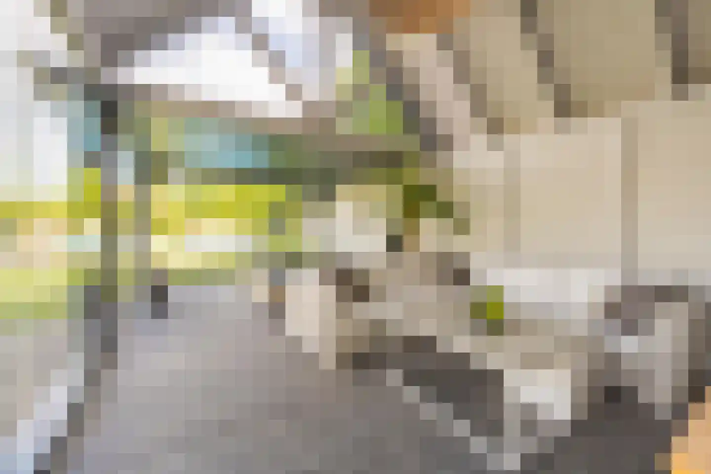 Jeudestraat 42 Zoelen thumbnail 32