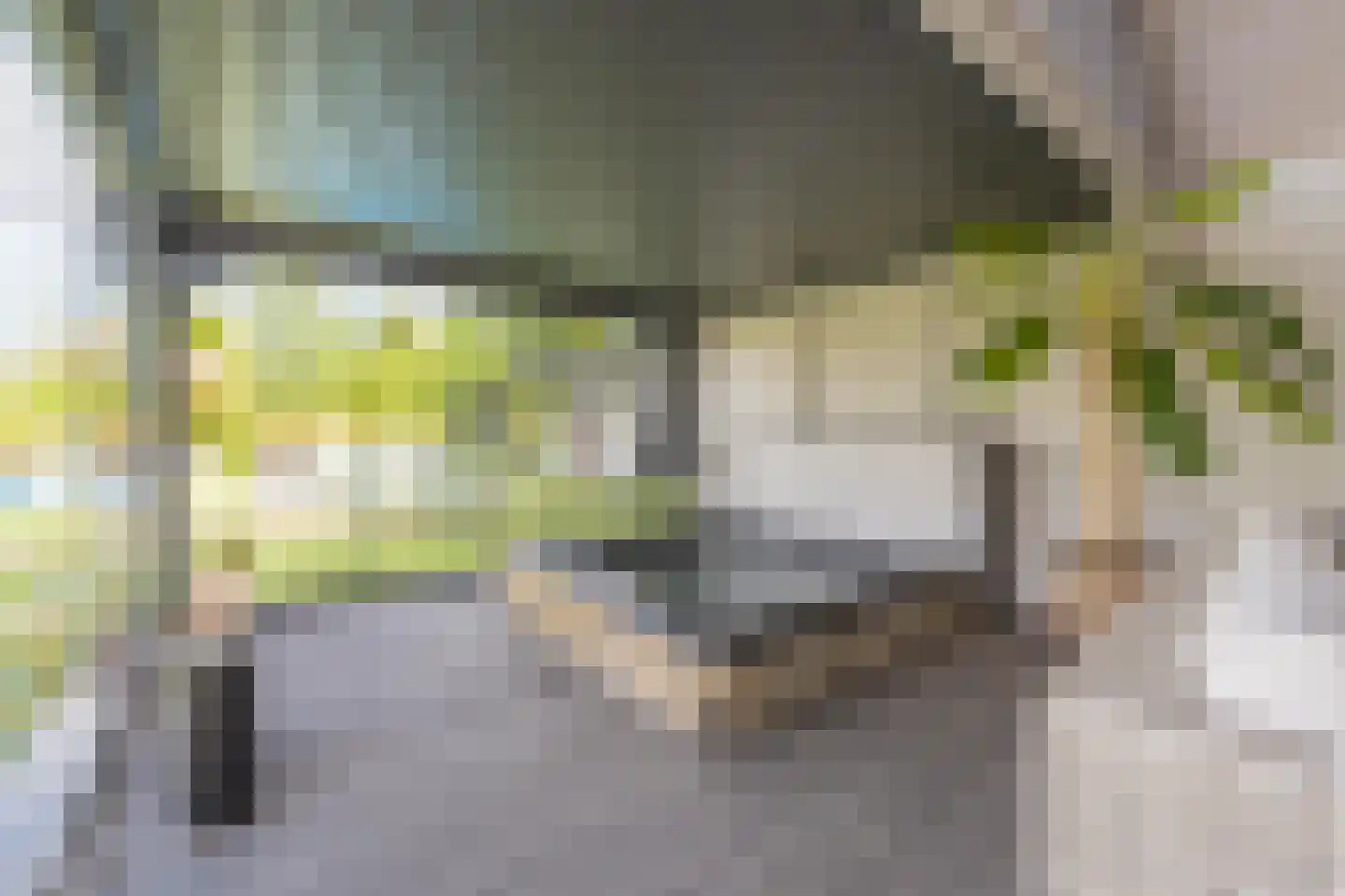 Jeudestraat 42 Zoelen thumbnail 33