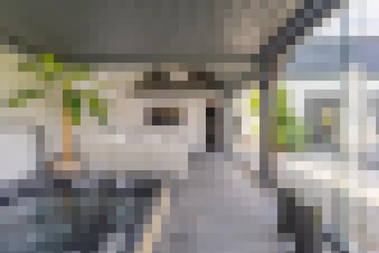 Jeudestraat 42 Zoelen thumbnail 34