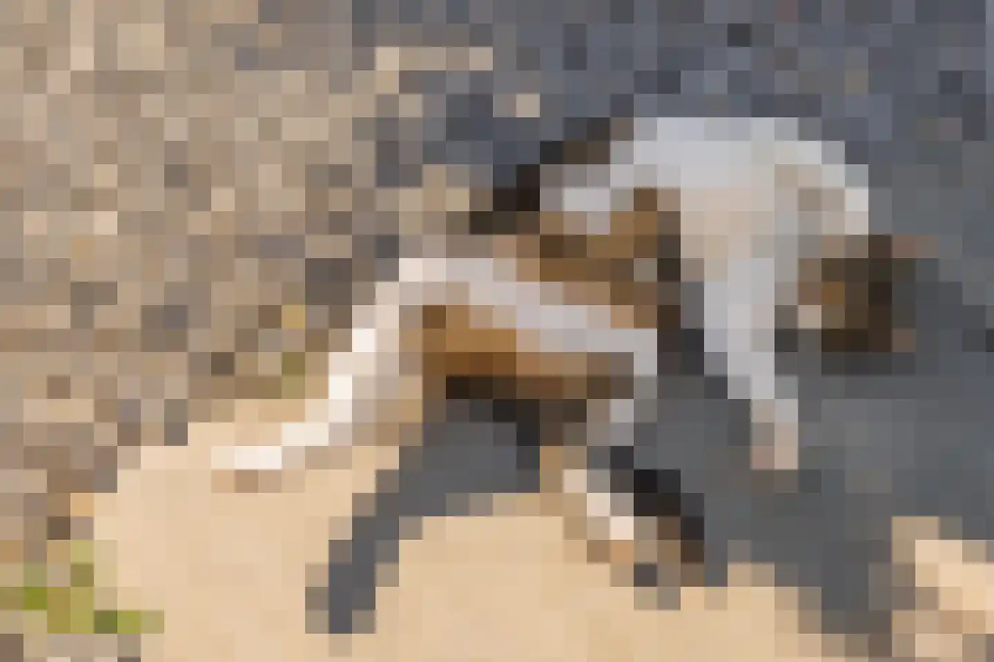 Jeudestraat 42 Zoelen thumbnail 37
