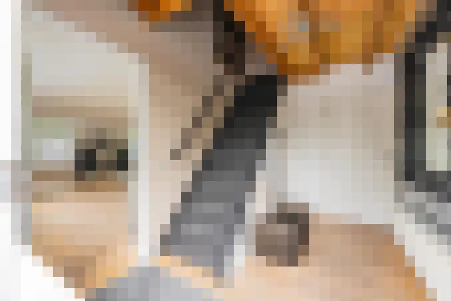 Jeudestraat 42 Zoelen thumbnail 50