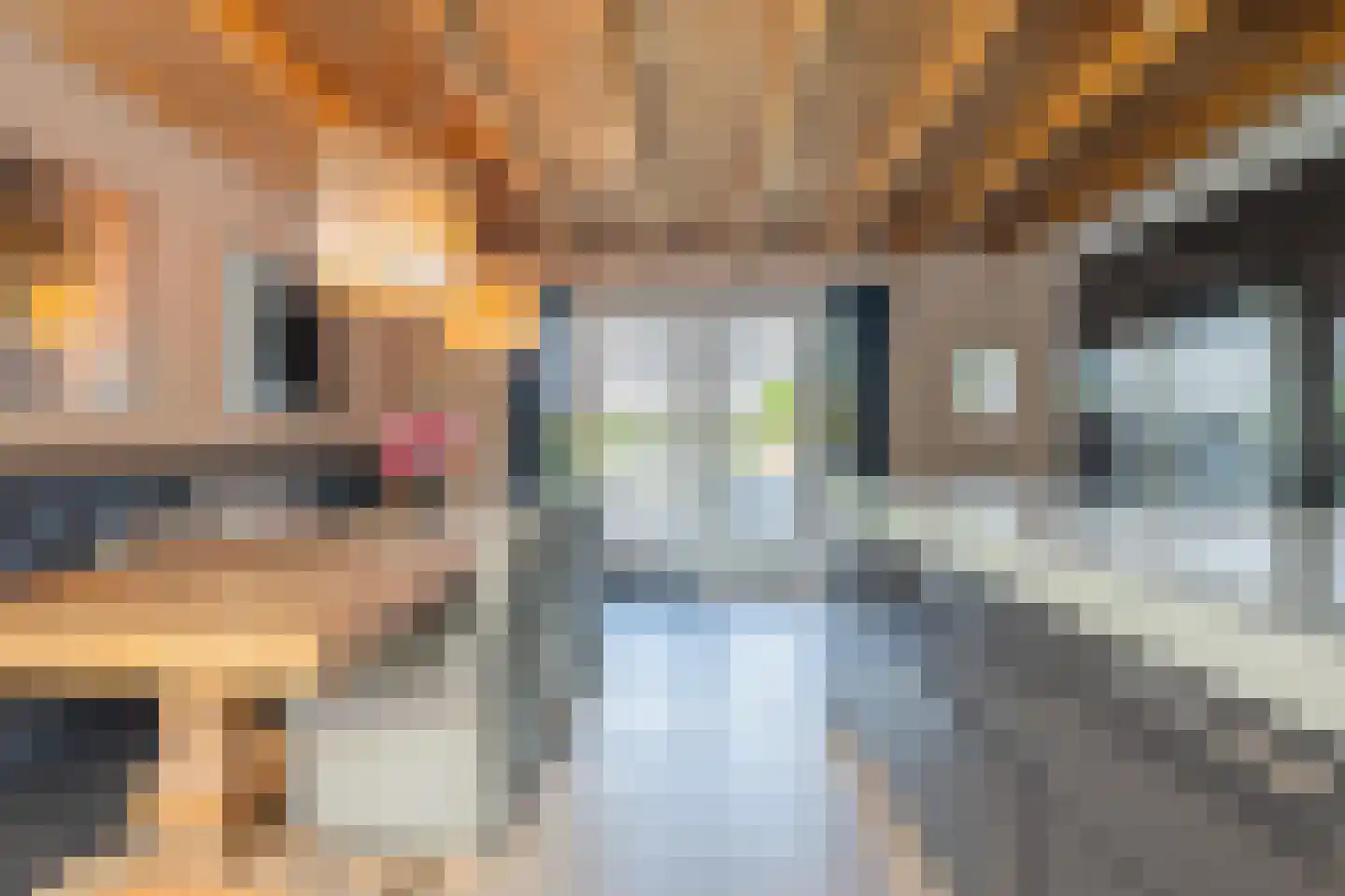 Jeudestraat 42 Zoelen thumbnail 52