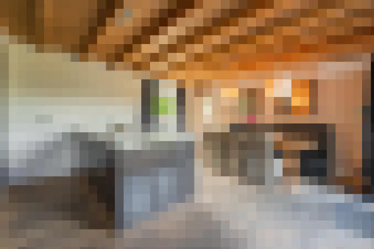 Jeudestraat 42 Zoelen thumbnail 54
