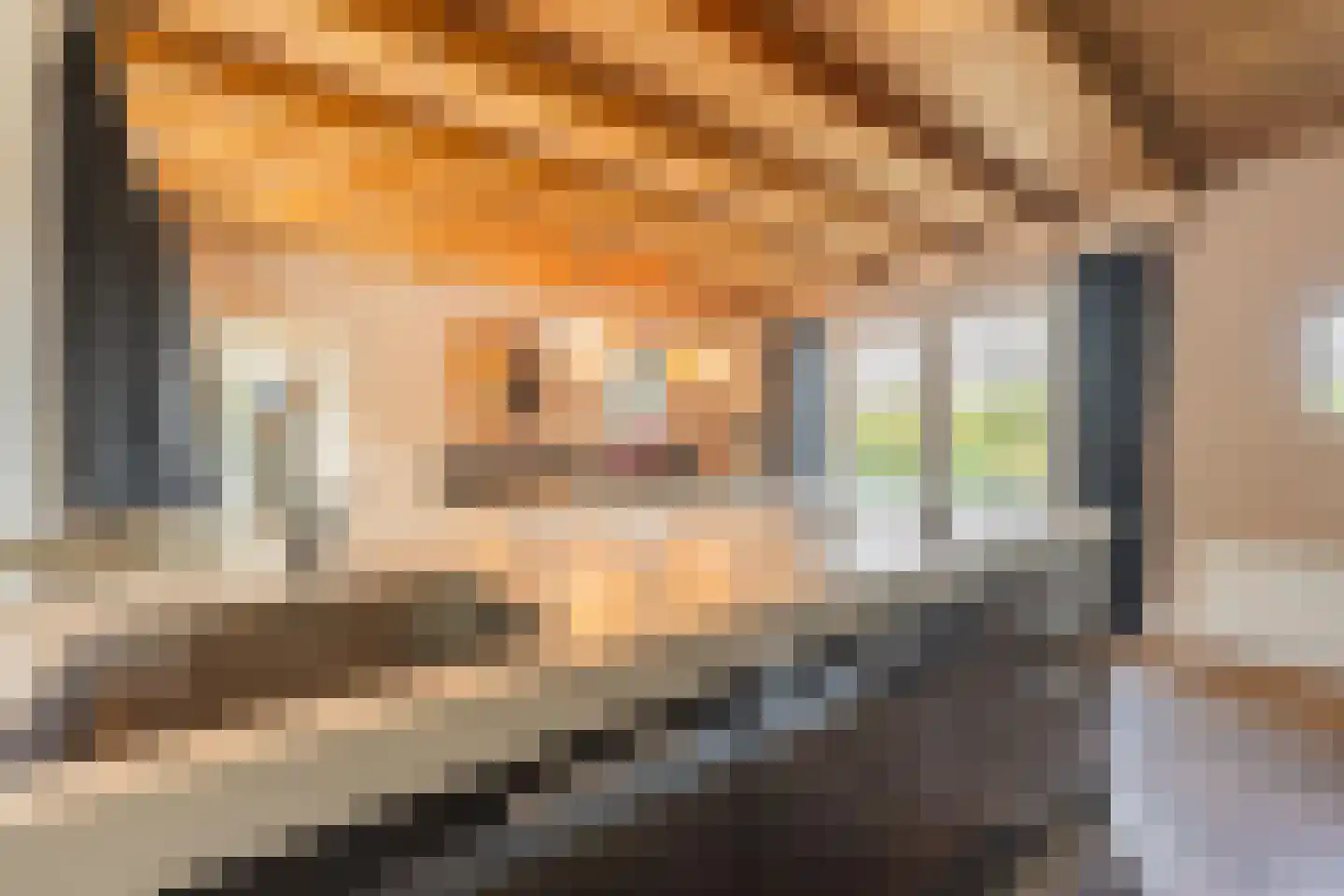 Jeudestraat 42 Zoelen thumbnail 55