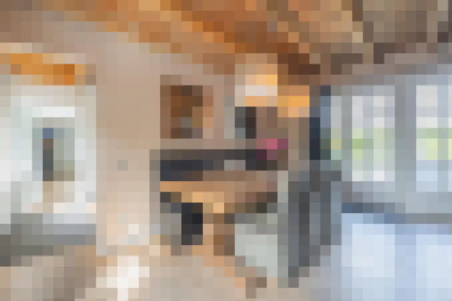 Jeudestraat 42 Zoelen thumbnail 56