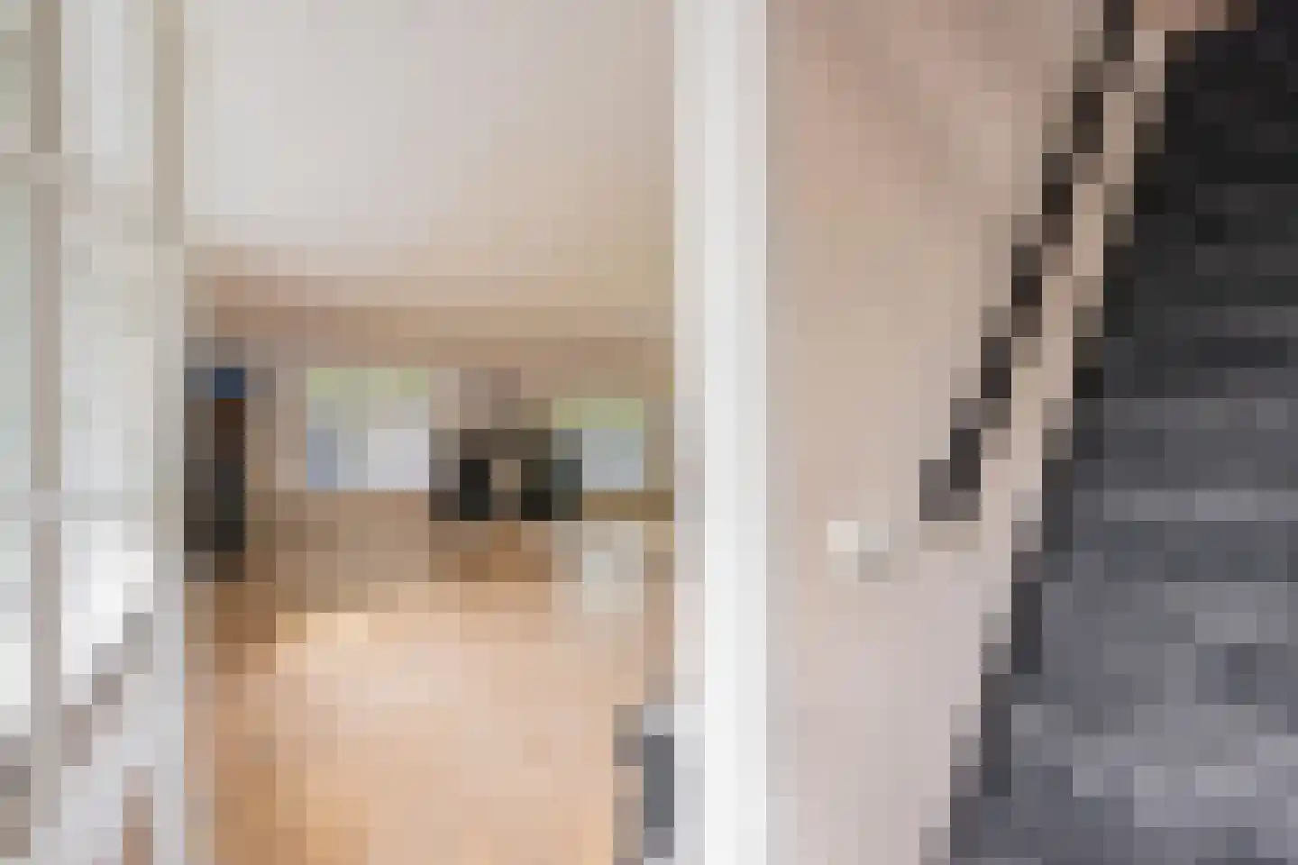 Jeudestraat 42 Zoelen thumbnail 57