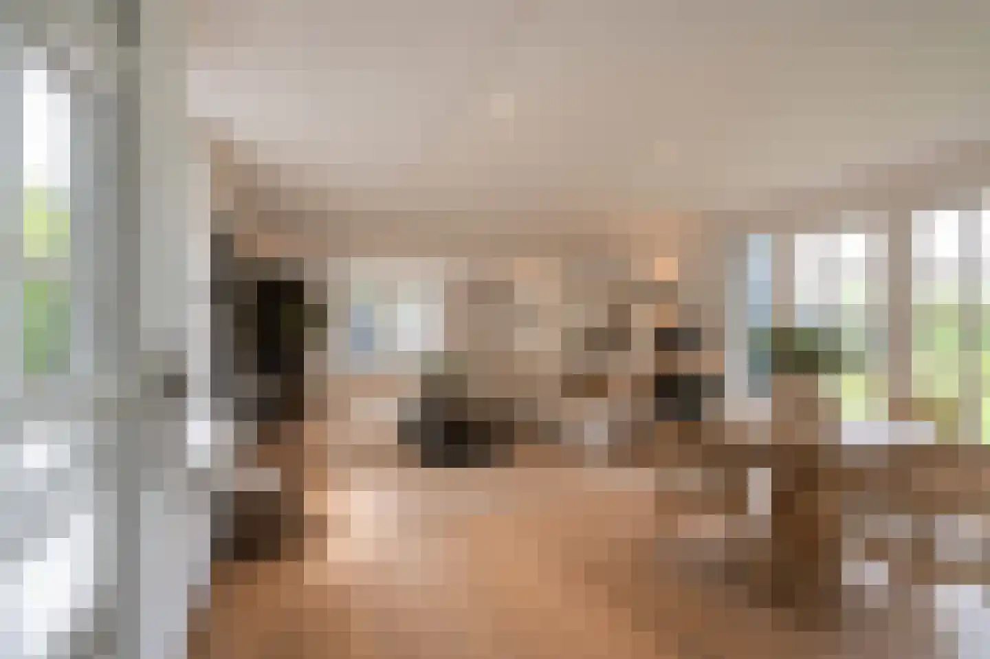 Jeudestraat 42 Zoelen thumbnail 59