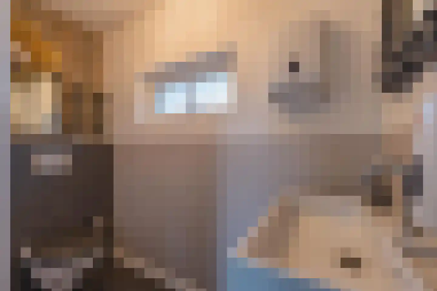 Jeudestraat 42 Zoelen thumbnail 63