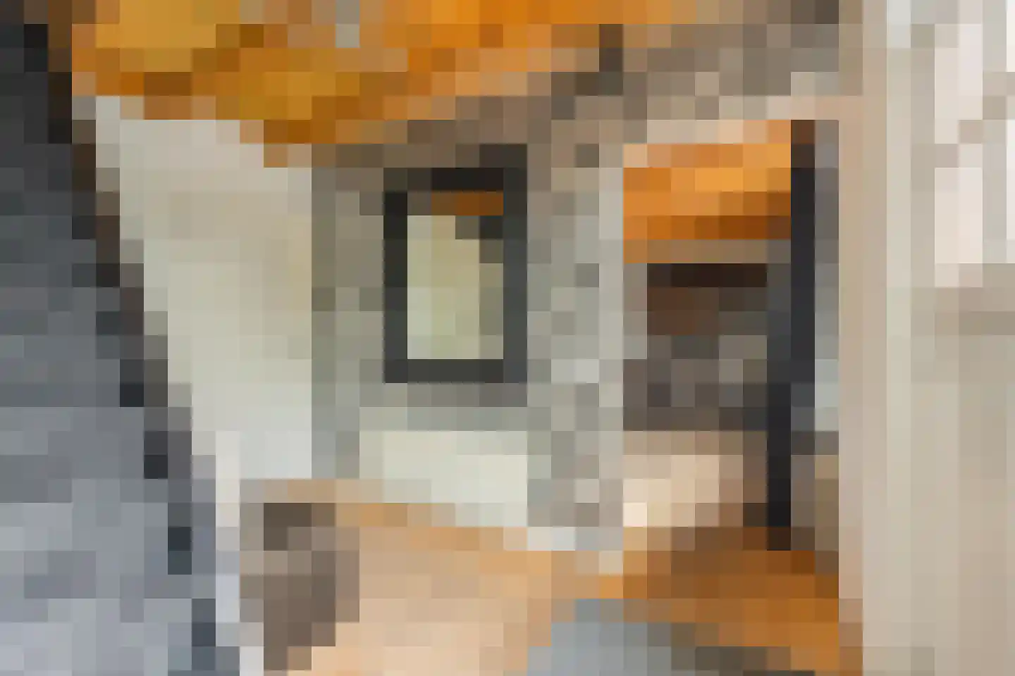 Jeudestraat 42 Zoelen thumbnail 64