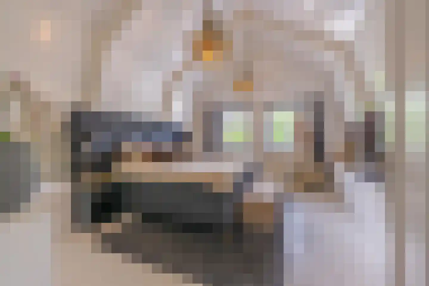 Jeudestraat 42 Zoelen thumbnail 66