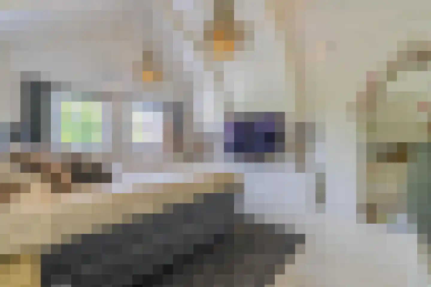 Jeudestraat 42 Zoelen thumbnail 67