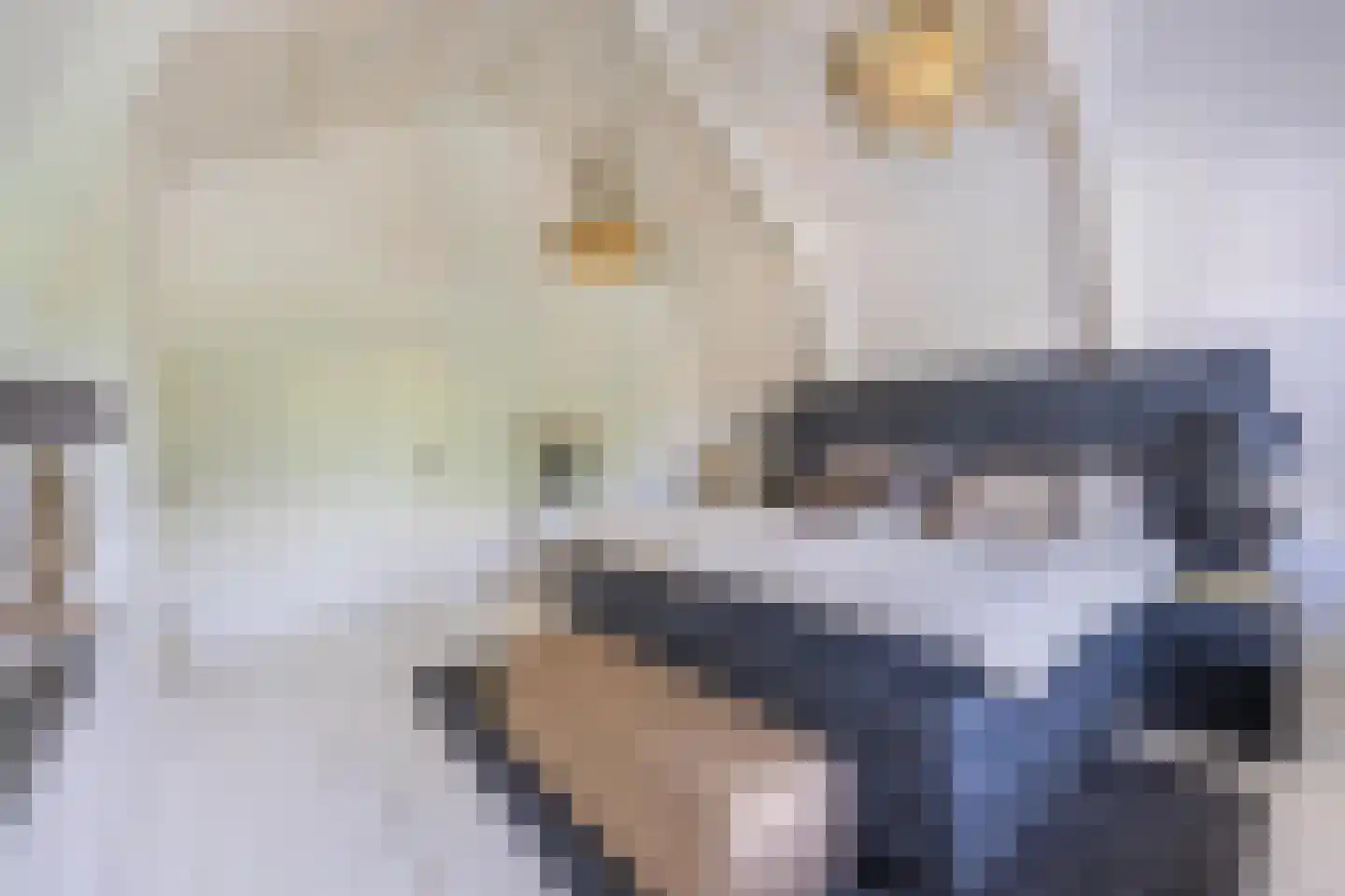 Jeudestraat 42 Zoelen thumbnail 69