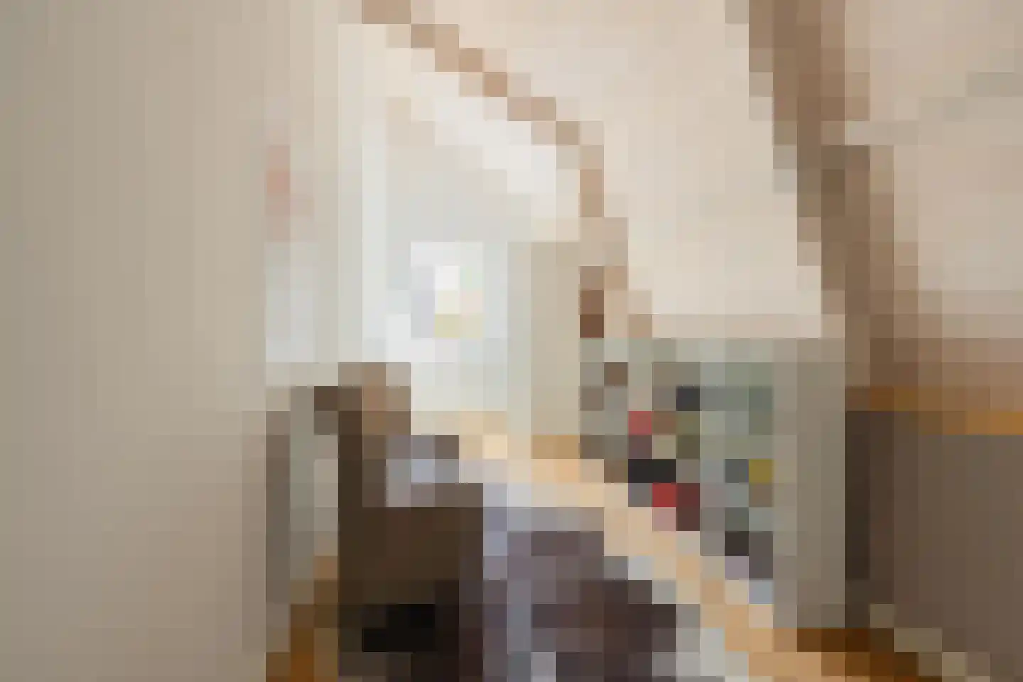 Jeudestraat 42 Zoelen thumbnail 76