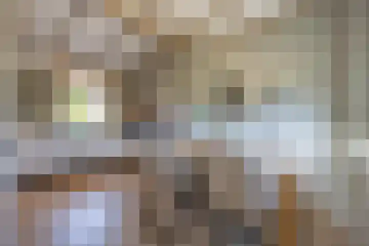 Jeudestraat 55 Zoelen thumbnail 11