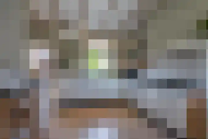 Jeudestraat 55 Zoelen thumbnail 13