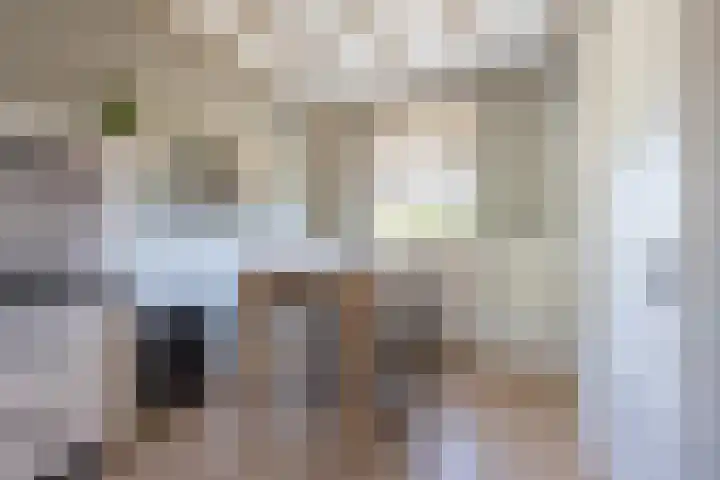 Jeudestraat 55 Zoelen thumbnail 14