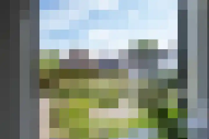Jeudestraat 55 Zoelen thumbnail 15