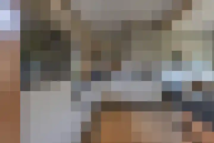 Jeudestraat 55 Zoelen thumbnail 16