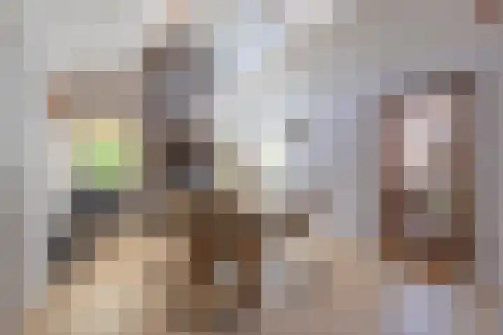 Jeudestraat 55 Zoelen thumbnail 19
