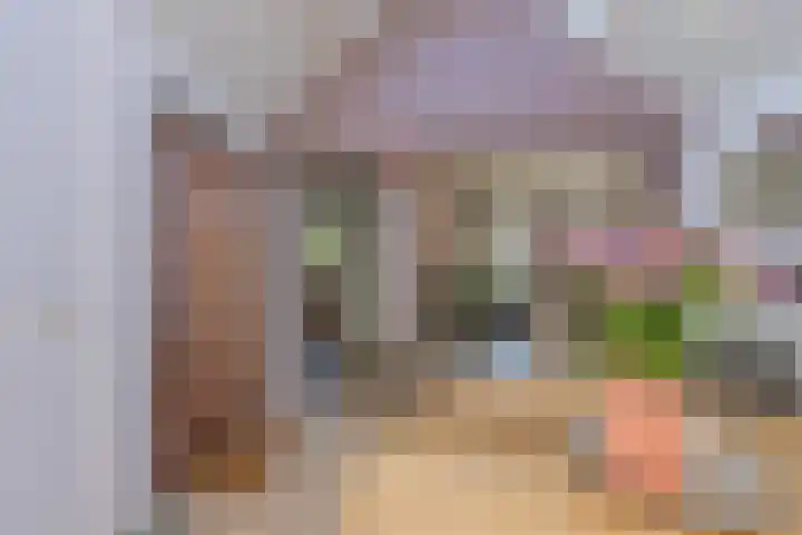 Jeudestraat 55 Zoelen thumbnail 20