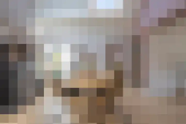 Jeudestraat 55 Zoelen thumbnail 21