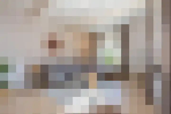 Jeudestraat 55 Zoelen thumbnail 24