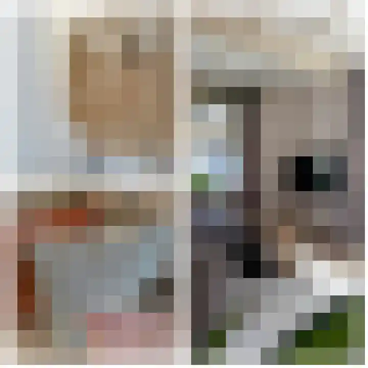 Jeudestraat 55 Zoelen thumbnail 26