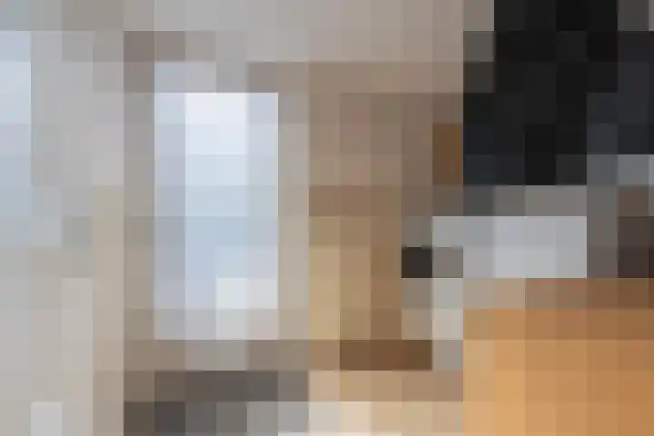 Jeudestraat 55 Zoelen thumbnail 27