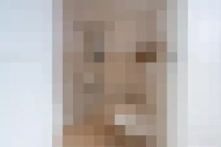 Jeudestraat 55 Zoelen thumbnail 28
