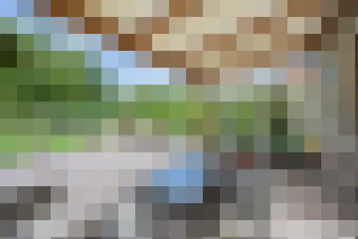 Jeudestraat 55 Zoelen thumbnail 37
