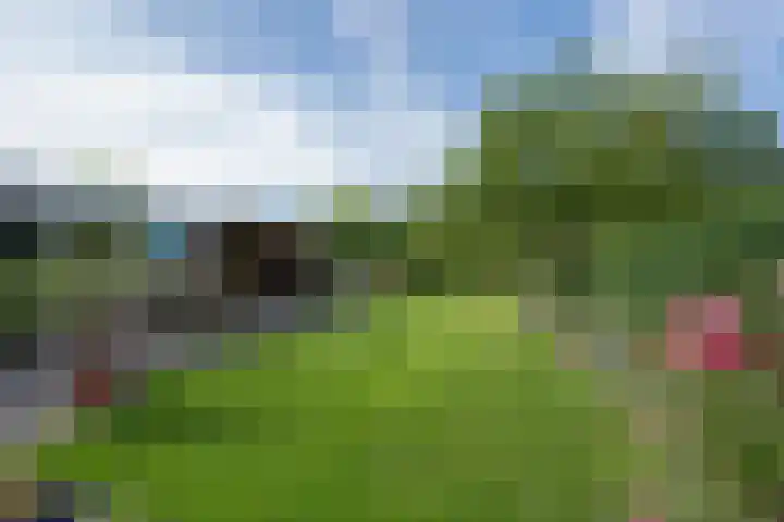 Jeudestraat 55 Zoelen thumbnail 38