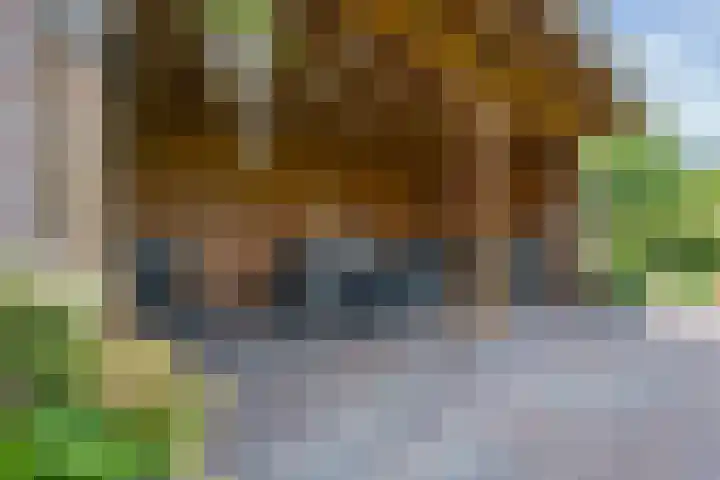 Jeudestraat 55 Zoelen thumbnail 39