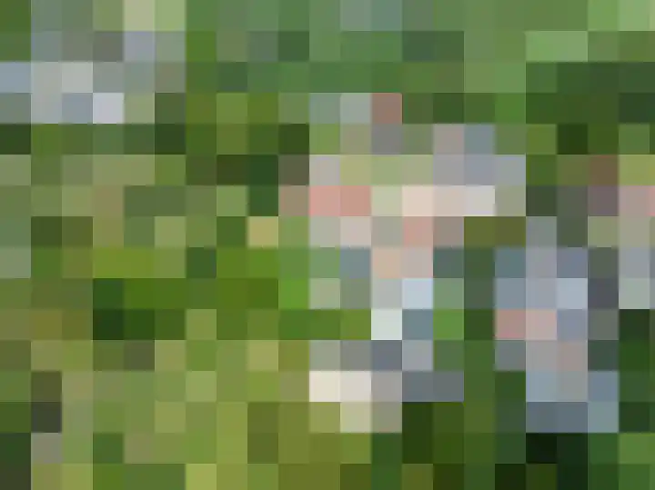 Jeudestraat 55 Zoelen thumbnail 4