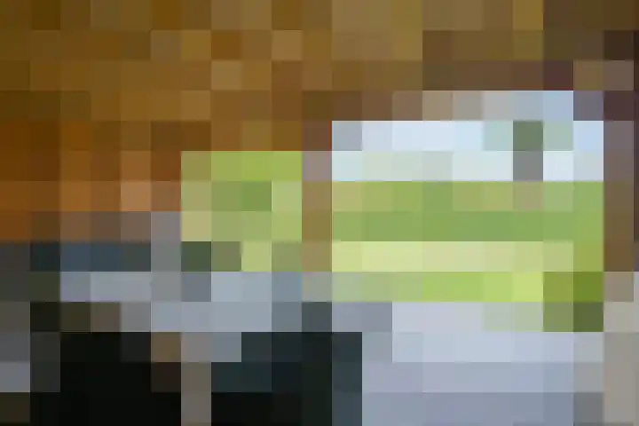 Jeudestraat 55 Zoelen thumbnail 40
