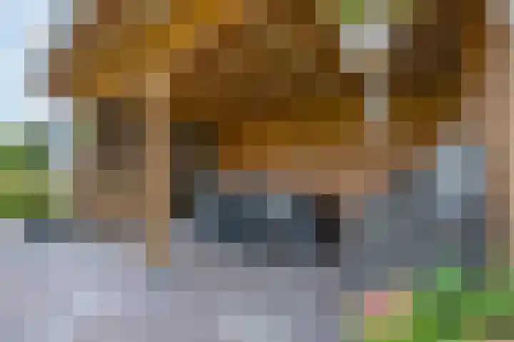 Jeudestraat 55 Zoelen thumbnail 41