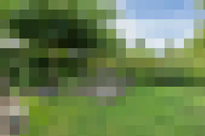 Jeudestraat 55 Zoelen thumbnail 42