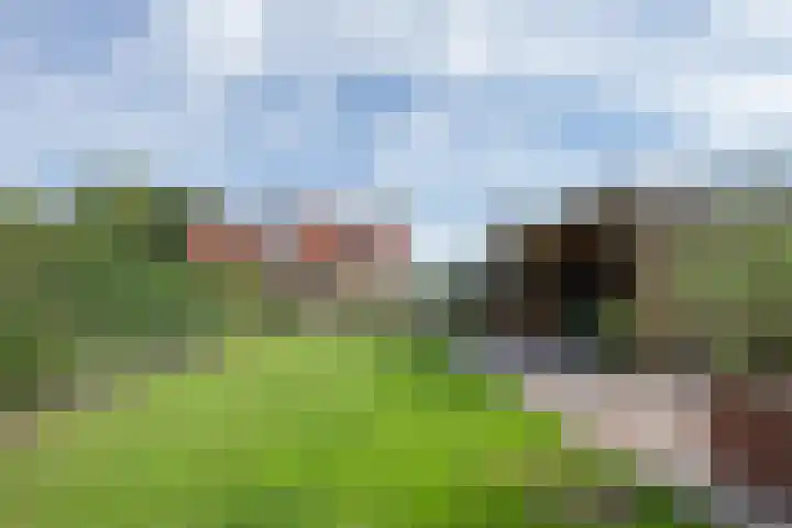 Jeudestraat 55 Zoelen thumbnail 43