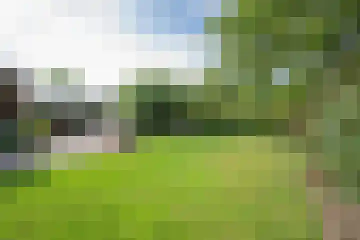 Jeudestraat 55 Zoelen thumbnail 45